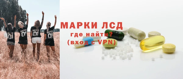 тгк Инсар