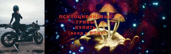 прущие грибы Балахна