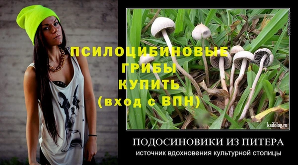 прущие грибы Балахна