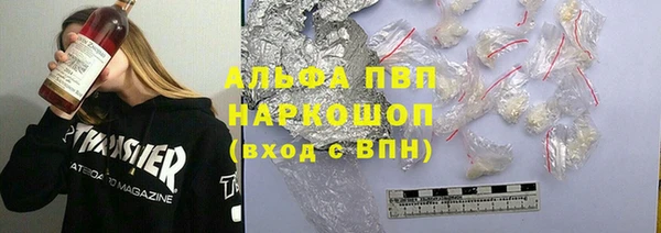 мяу мяу мука Иннополис