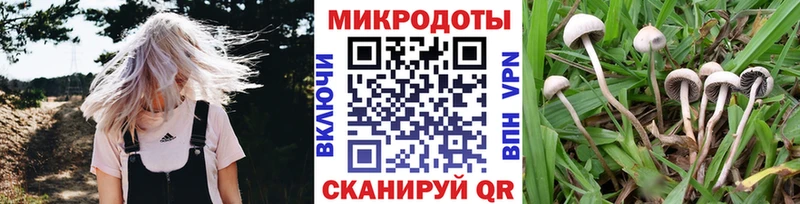 даркнет официальный сайт  Данков  Псилоцибиновые грибы GOLDEN TEACHER 