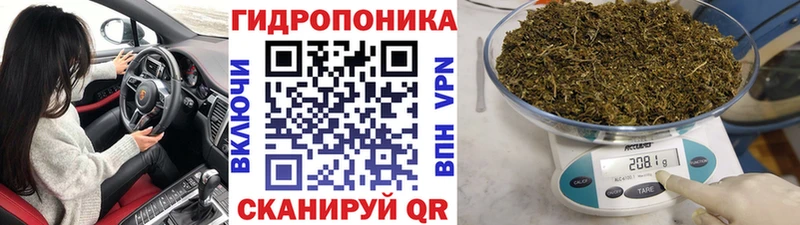 гидра ссылка  Данков  Канабис AK-47 